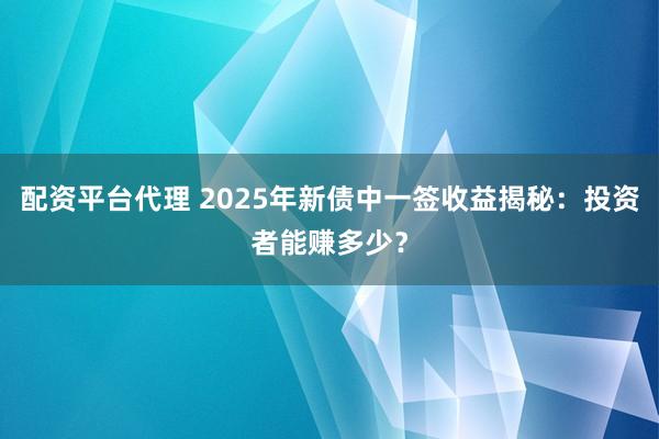 配资平台代理 2025年新债中一签收益揭秘：投资者能赚多少？