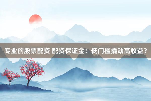 专业的股票配资 配资保证金：低门槛撬动高收益？
