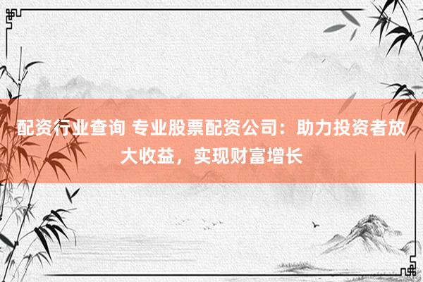 配资行业查询 专业股票配资公司：助力投资者放大收益，实现财富增长