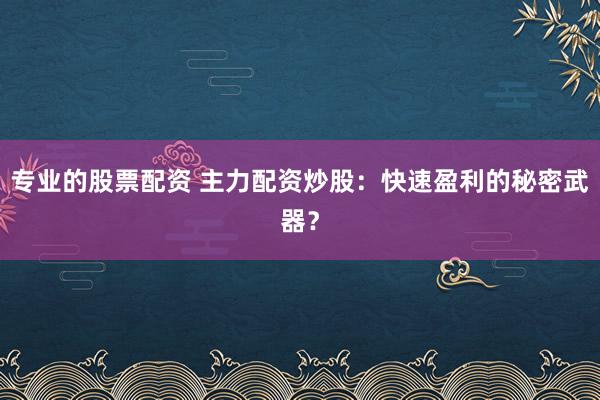 专业的股票配资 主力配资炒股：快速盈利的秘密武器？