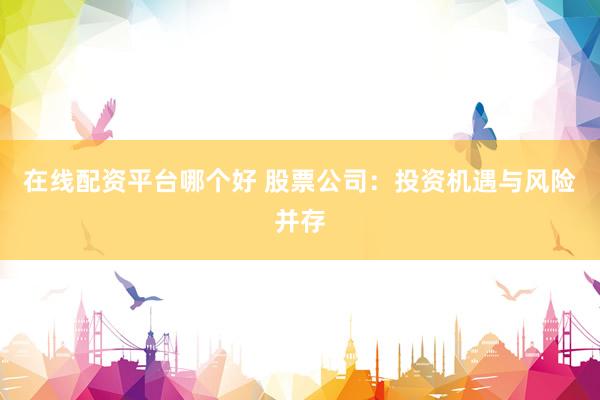 在线配资平台哪个好 股票公司：投资机遇与风险并存