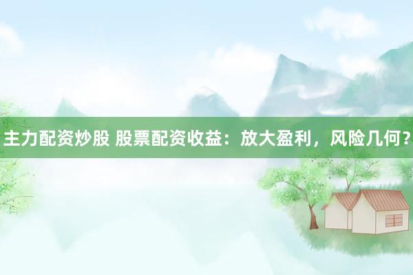 主力配资炒股 股票配资收益：放大盈利，风险几何？