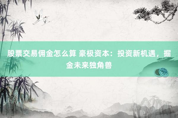 股票交易佣金怎么算 豪极资本：投资新机遇，掘金未来独角兽