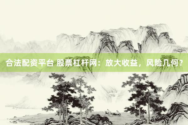合法配资平台 股票杠杆网：放大收益，风险几何？